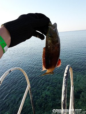 Изображение 1 : Рыбалка на красном море